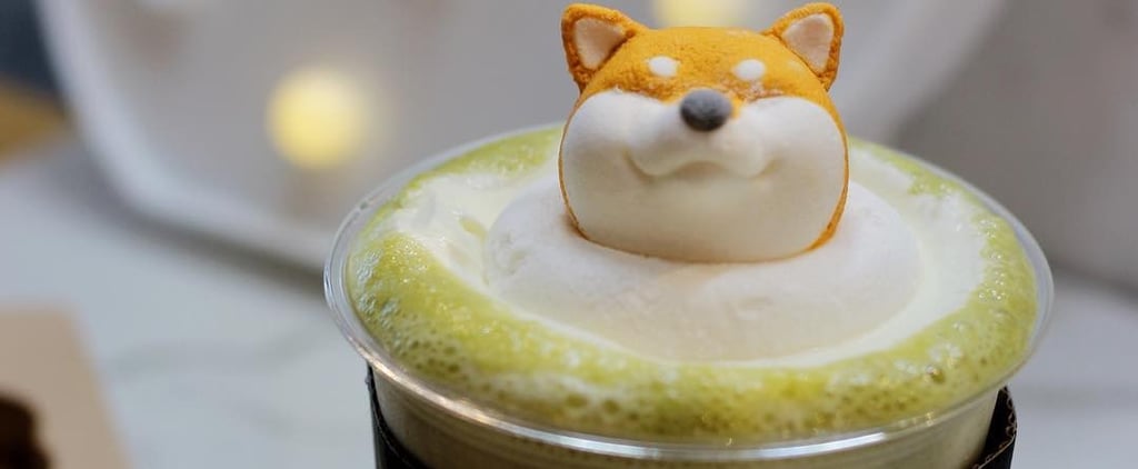 Shiba Inu Lattes At Taiwans Mr R Drinks Cafe Popsugar Food