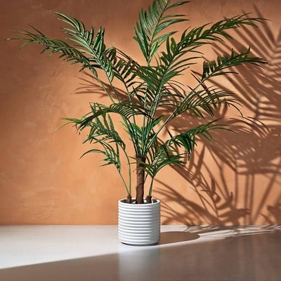 Hilton Carter for Target Faux Kentia Palm Tree in Ribbed Pot