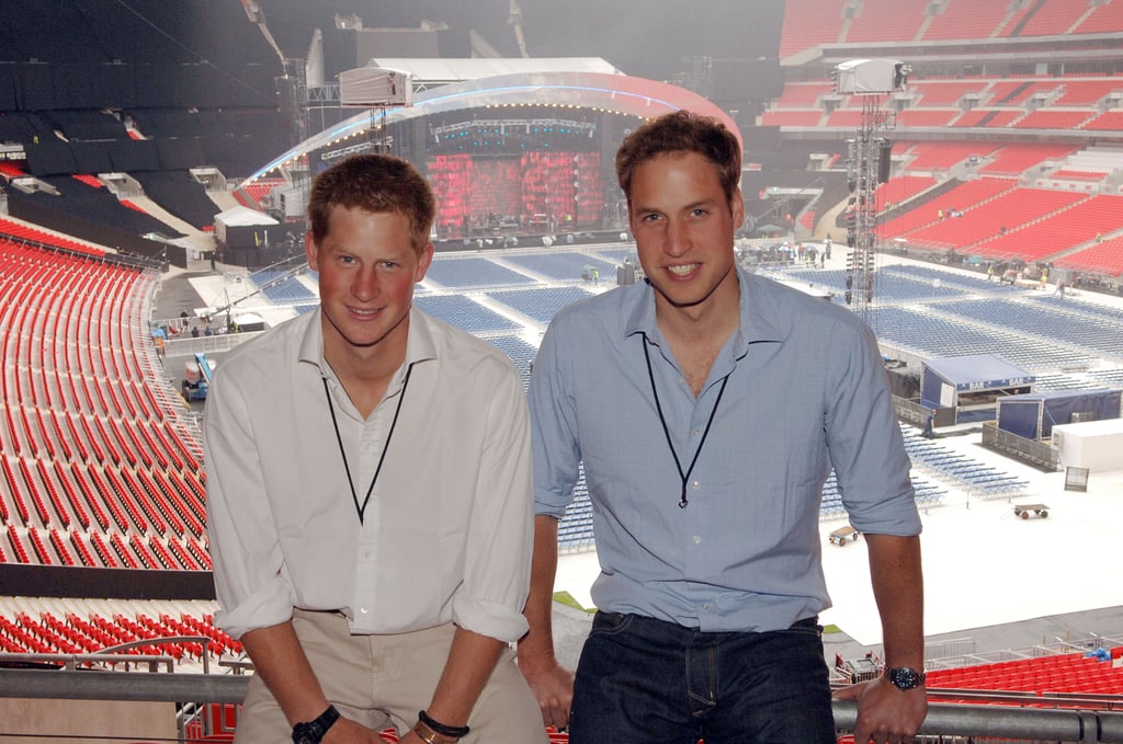 William Organized the Concert For Diana With Prince Harry