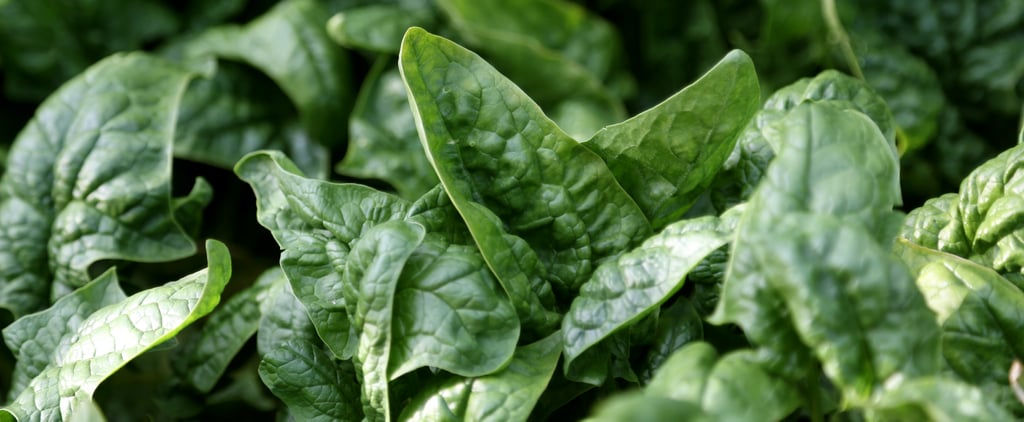 How to Get Rid of Caterpillars in an Organic Garden
