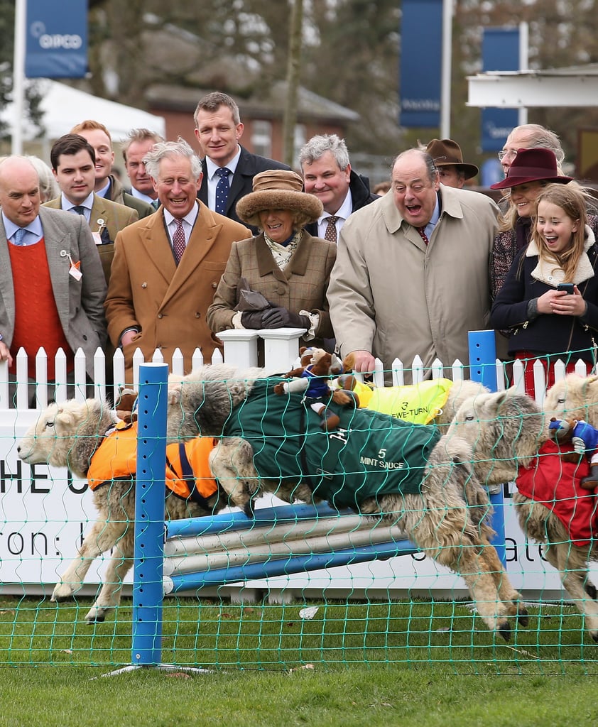 Photos of Prince Charles With Animals