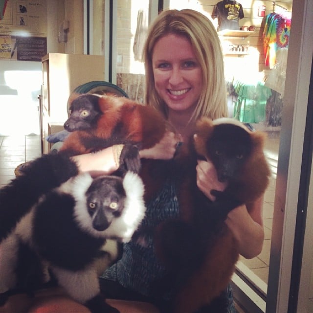 Nicky Hilton cuddled with a bunch of lemurs at Jungle Island in Miami.
Source: Instagram user nickyhilton