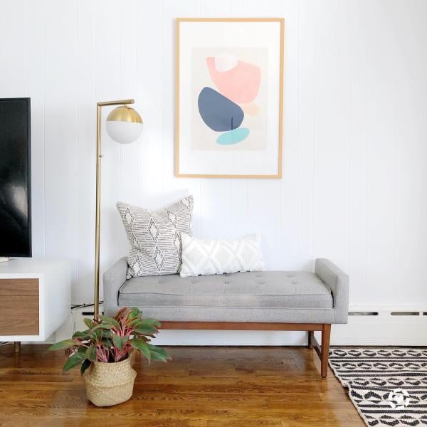 Project 62 bench deals