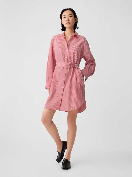 Best Mini Shirtdress