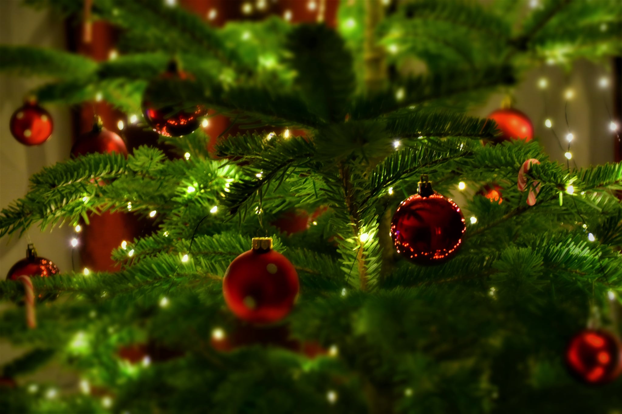 christmas zoom backgrounds free