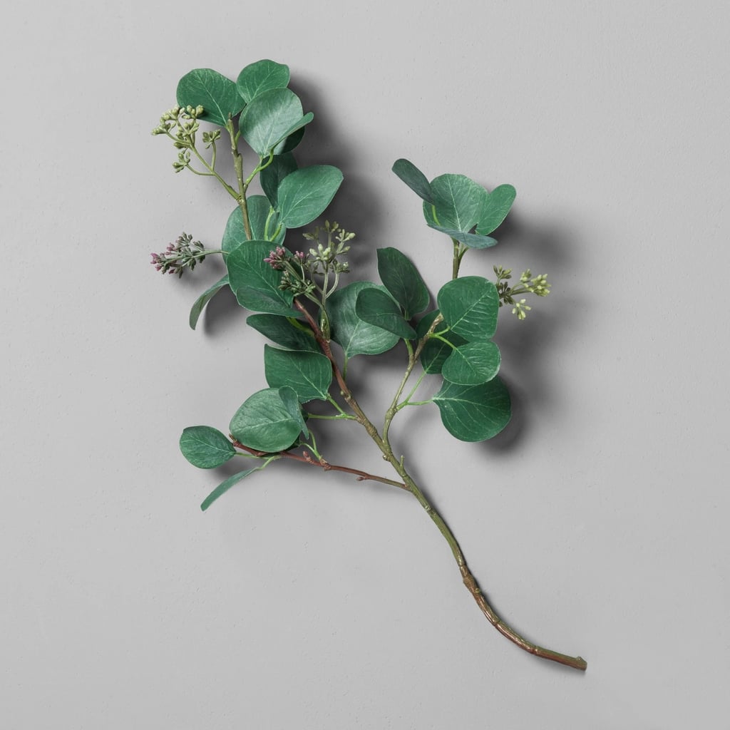 Eucalyptus Pick Stem