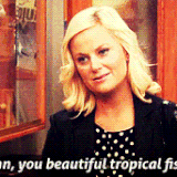 You respect and admire the people you work with.