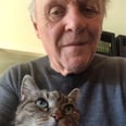 My Heart Swelled 2 Sizes While Watching Anthony Hopkins Play Piano For His Cat