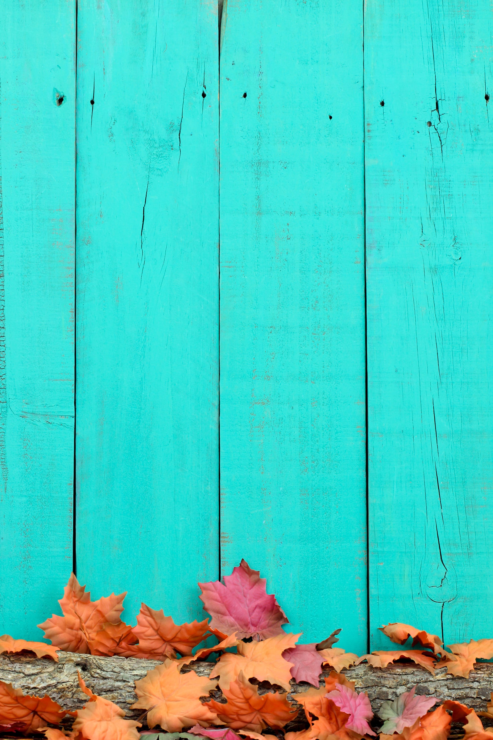 Mùa thu đến rồi, và bạn muốn trang trí điện thoại của mình với hình nền đậm chất mùa thu? Hãy lựa chọn hình nền Fall Background: Blue Wood and Leaves iPhone Wallpaper. Những chiếc lá đỏ, màu xanh trên nền gỗ lạnh lùng sẽ mang đến cho bạn sự ấm áp và cảm giác yên bình khi nhìn vào màn hình điện thoại.