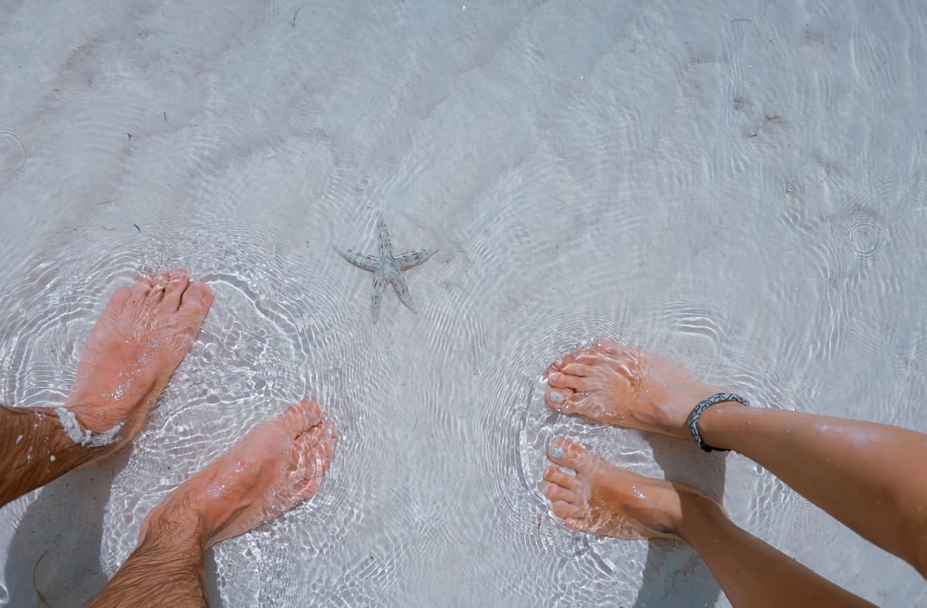 Spend the day at the beach. Spend the day at the beach.