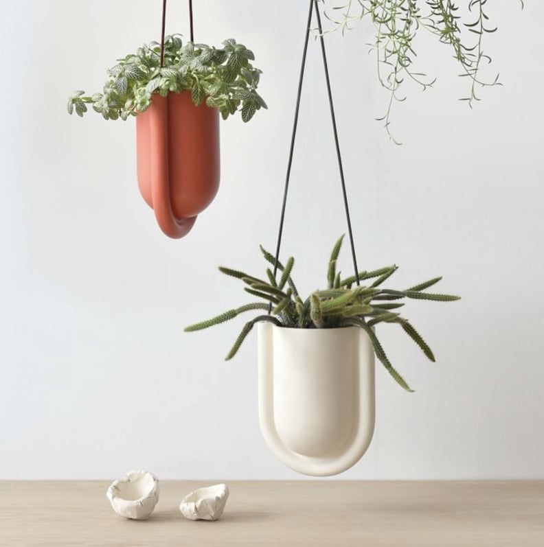 West Elm Misewell Portico Hanging Planter