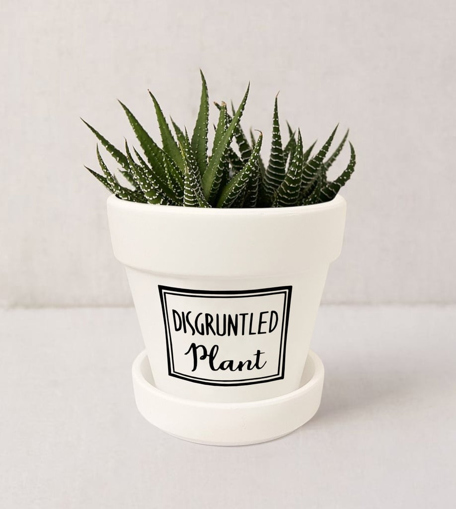 Schitt's Creek Planters on Etsy