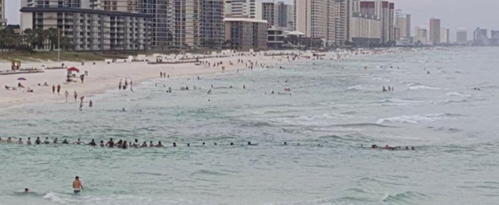 Human Chain Saves Family From Drowning in Ocean
