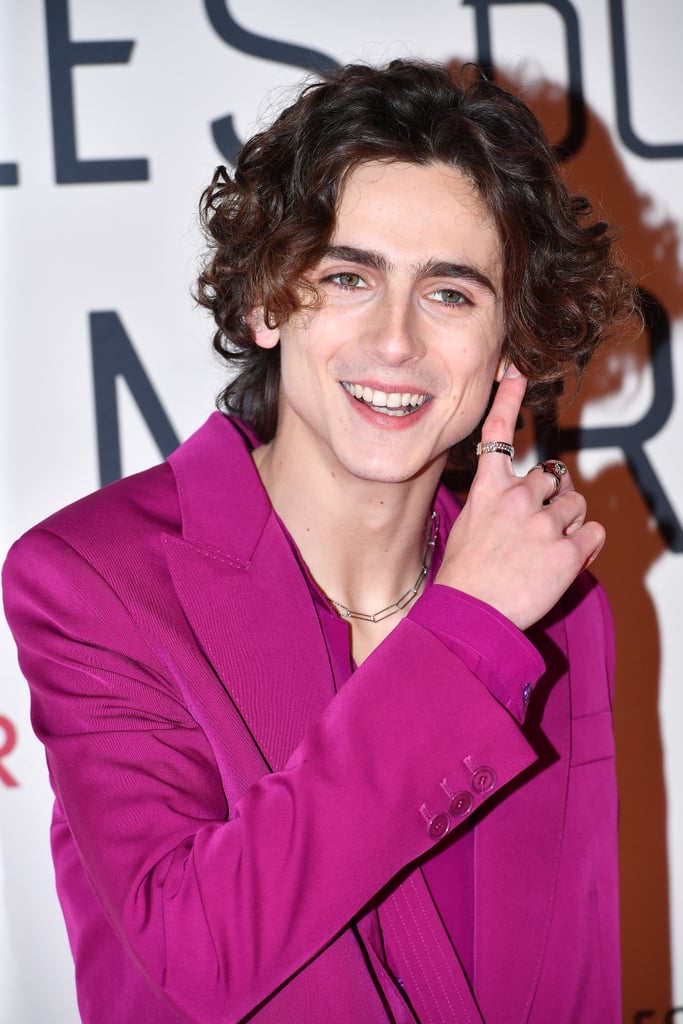 Timothée Chalamet at the Little Women Premiere in Paris