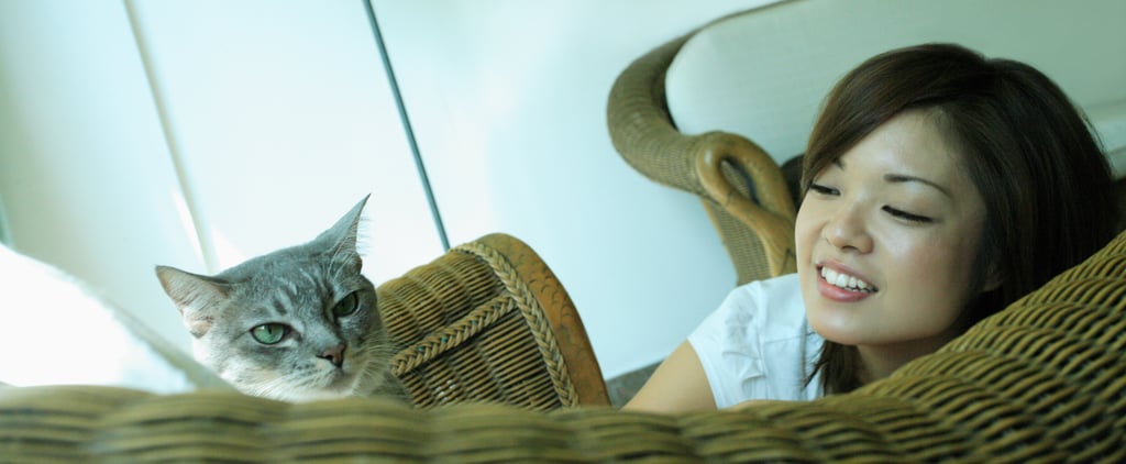 Why Won't My Cat Cuddle With Me?
