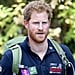 Prince Harry Talking About Charity and Princess Diana