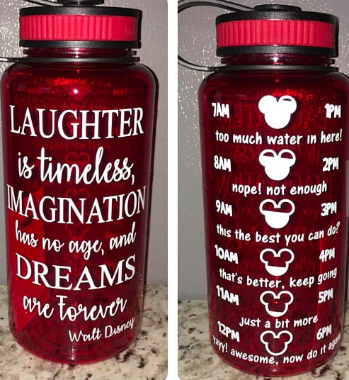 Walt Disney Water Bottle ($18)