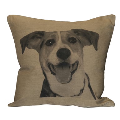 Portrait Pillow