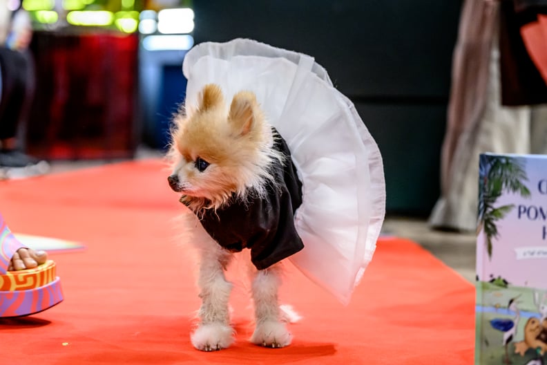 NEW YORK, NEW YORK - APRIL 14: Lara Eurdolian King and her dog Charlie King attend Patricia Field Hosts Senior Dog Rescue Runway Show at Flying Solo in Soho on April 14, 2024 in New York City. (Photo by Roy Rochlin/Getty Images)