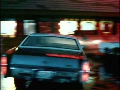 License to Drive
