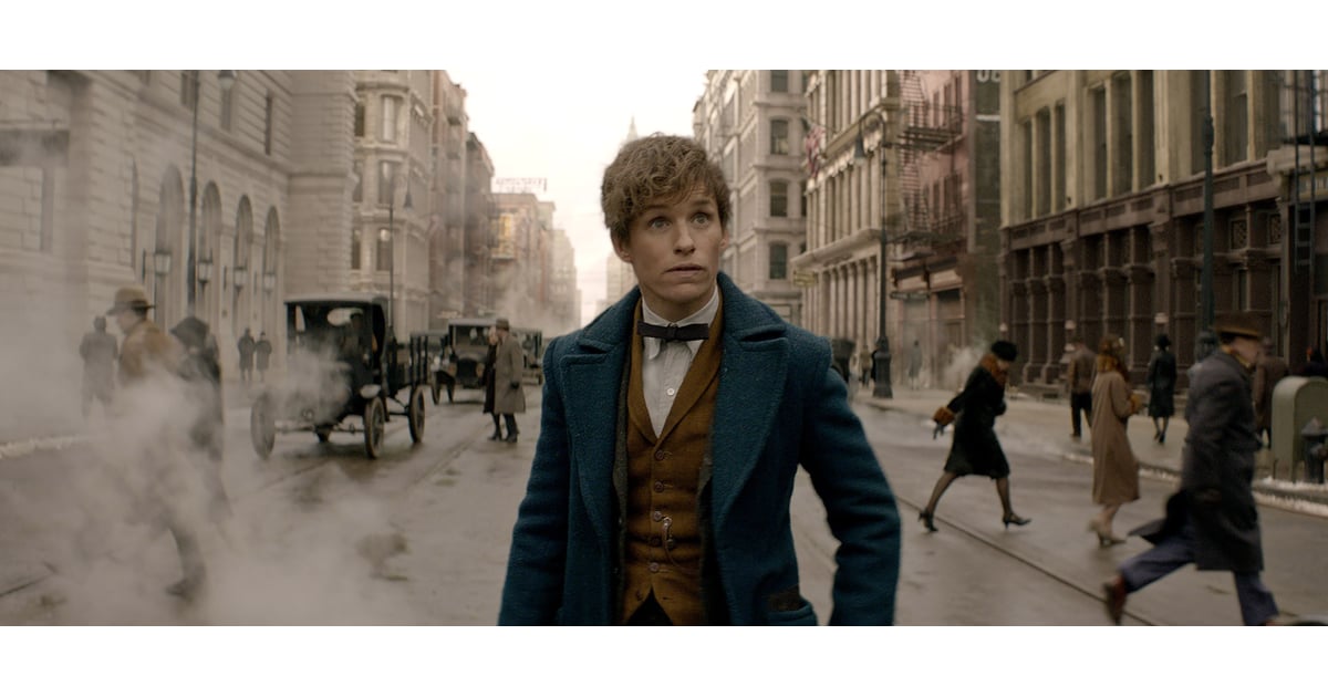 The Trajectory of New Scamander Harry Potter and Fantastic Beasts