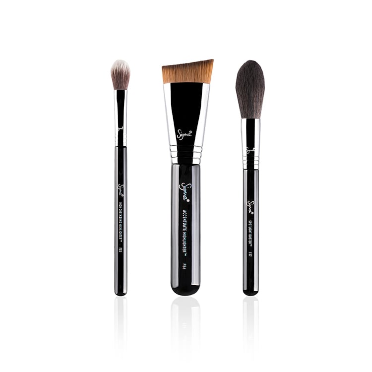 Sigma Highlight Expert Brush Set