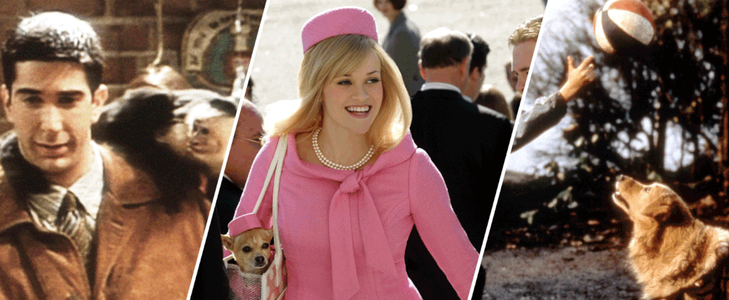 13 Fun Facts About Your Favorite Movie and TV Animals