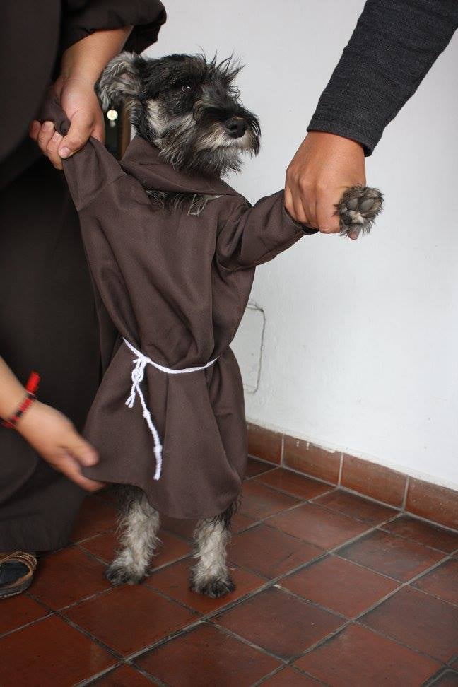 Dog Adopted by Monastery in Bolivia