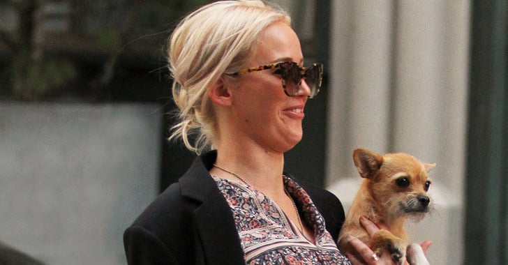 Captivating Jennifer Lawrence Wants To 'obliterate Every Dog' After Her Son Gets Bitten By One Abstract Concept