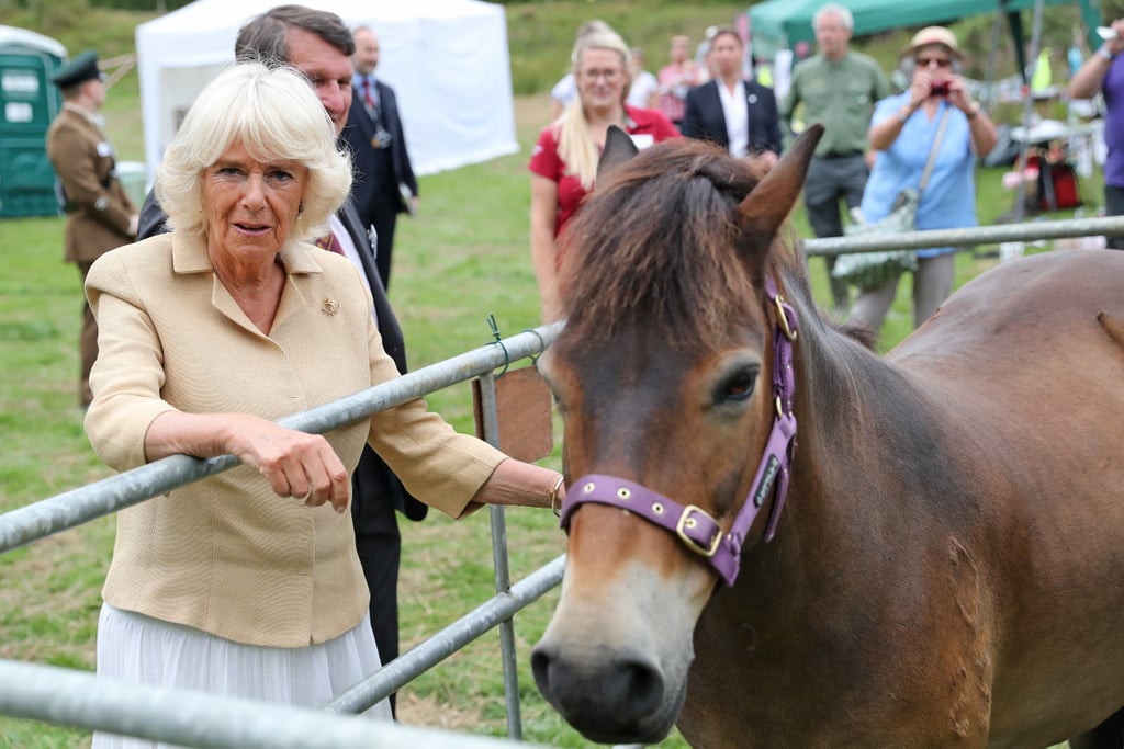 Camilla Parker Bowles Birthday Photos 2019