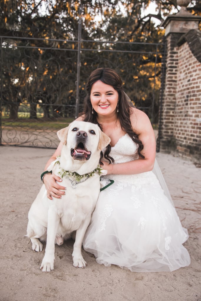 Dogs in Weddings