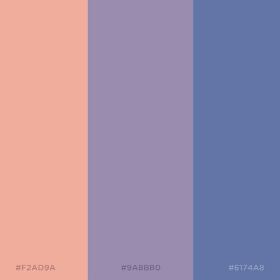 Coolors Color Scheme Generator