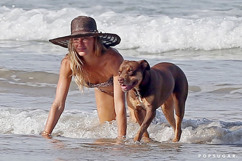 Gisele Bündchen's Dog-Day Afternoon