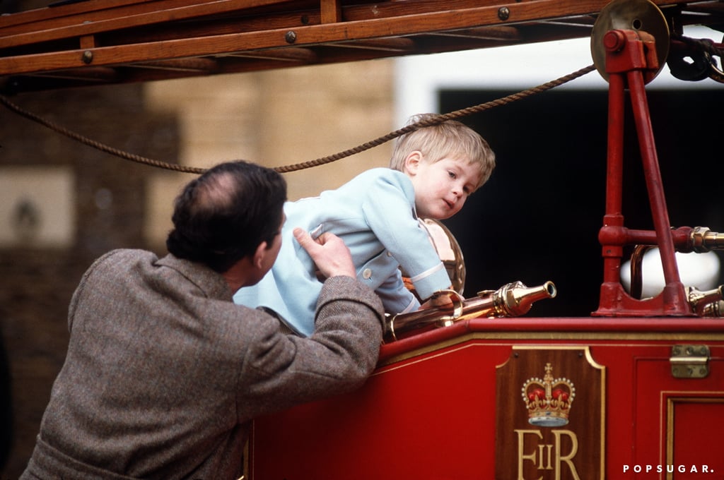 Prince Harry and Prince Charles Pictures