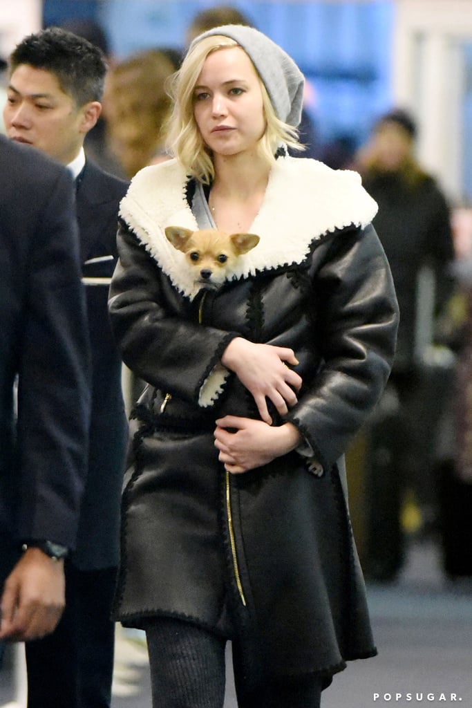 Jennifer Lawrence With Her Dog at JFK Airport