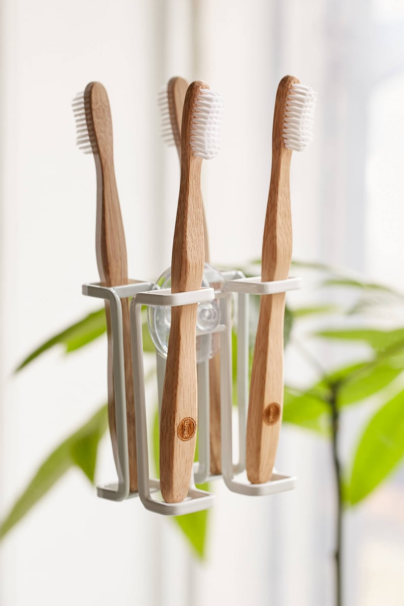 Mounted Toothbrush Holder