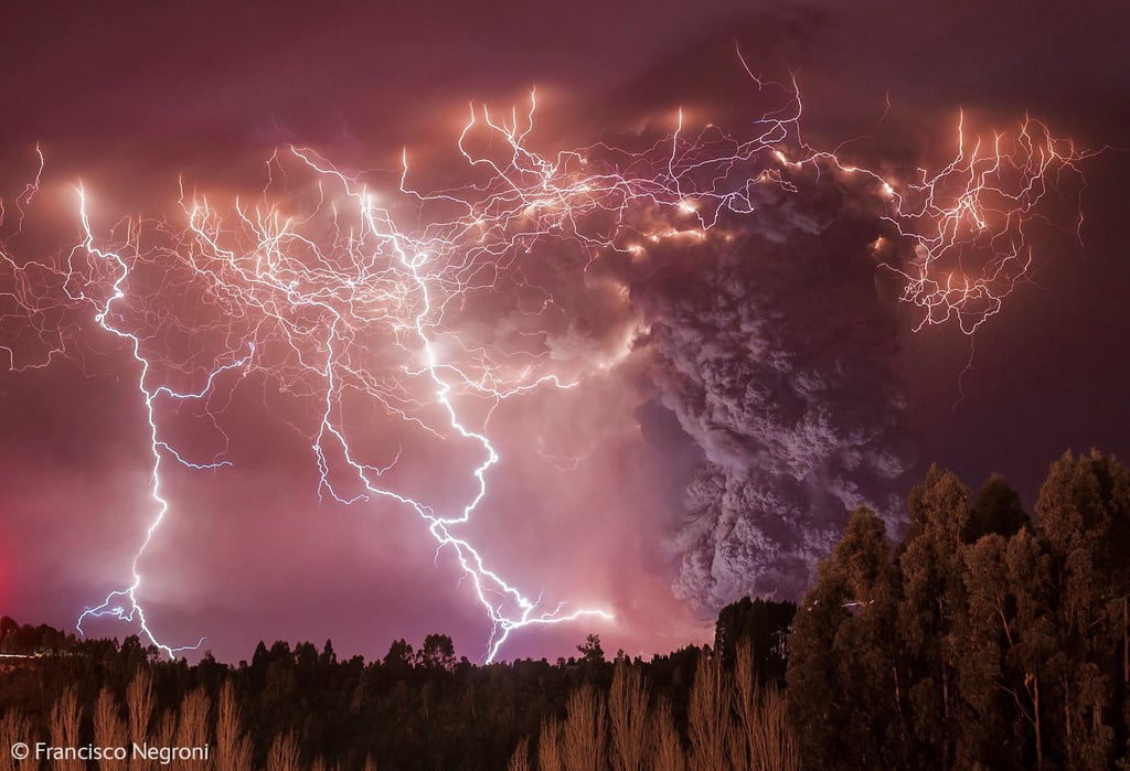 Wildlife Photography of the Year 2014