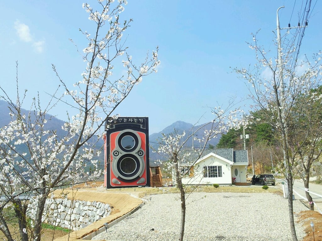 The Cafe in Spring