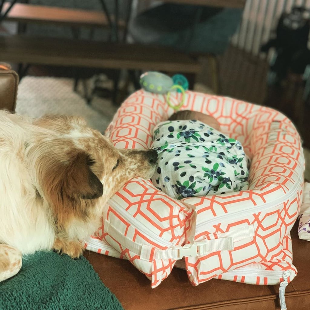 Cute Pictures of Dogs Napping With Kids and Babies