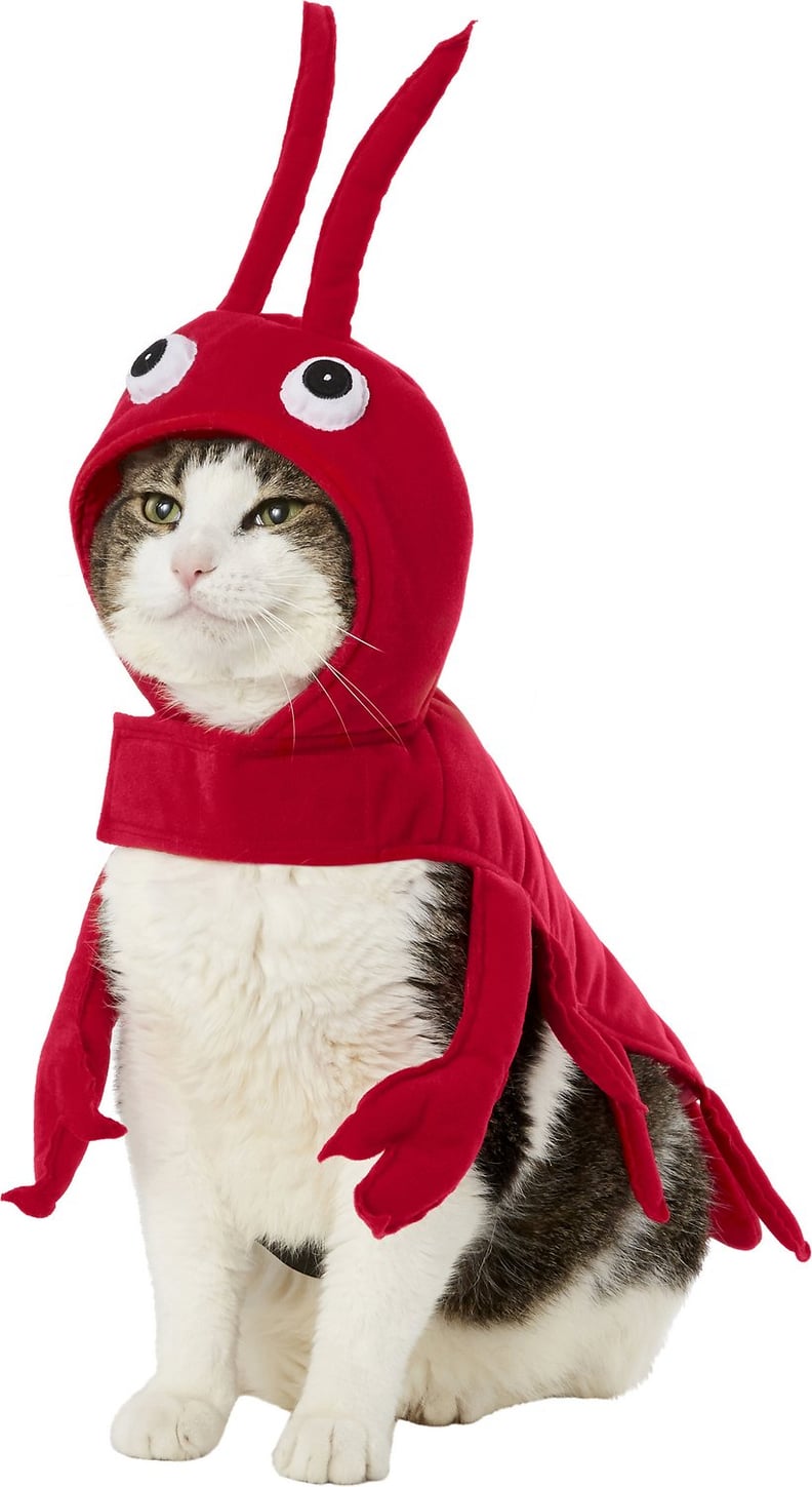 Frisco Red Lobster Cat Costume