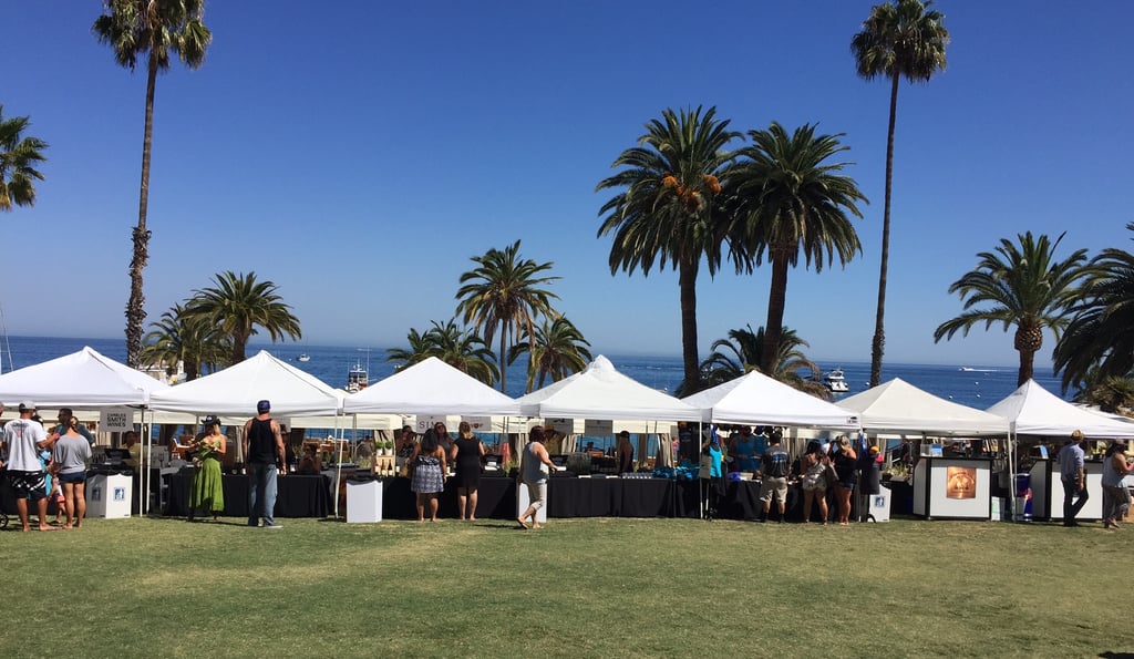 What Is the Catalina Wine Mixer? POPSUGAR Entertainment