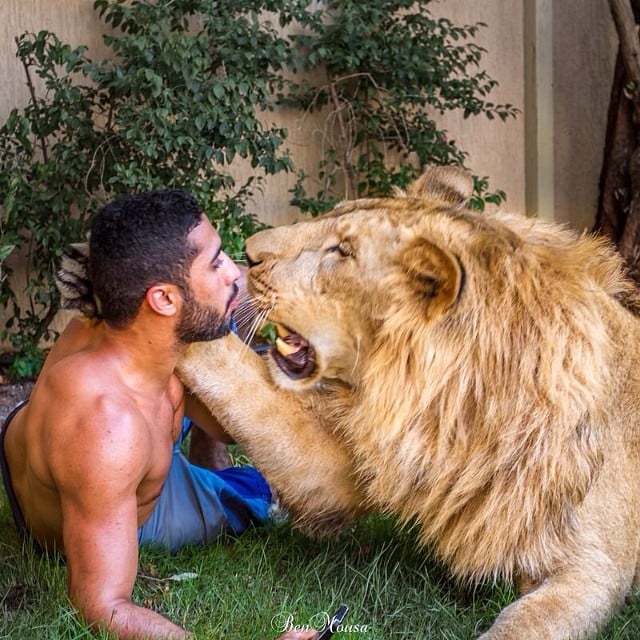 They Play Kissy Face With Their Lions