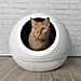 Best Self-Cleaning Litter Boxes For Cats