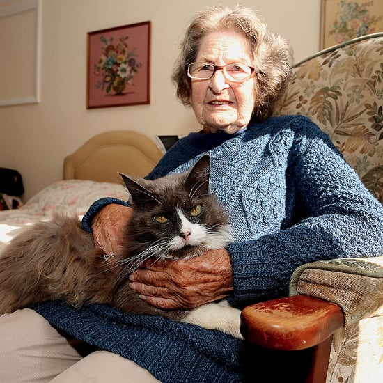 Cat Reunited With Owner