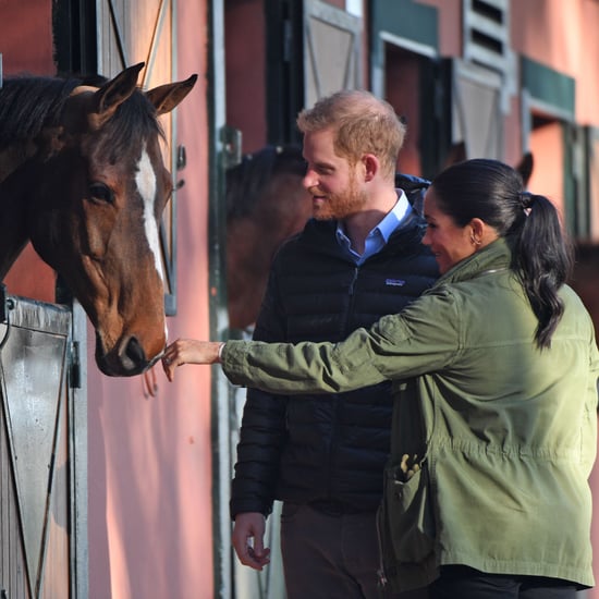Meghan and Harry With Horses on Morocco Tour February 2019