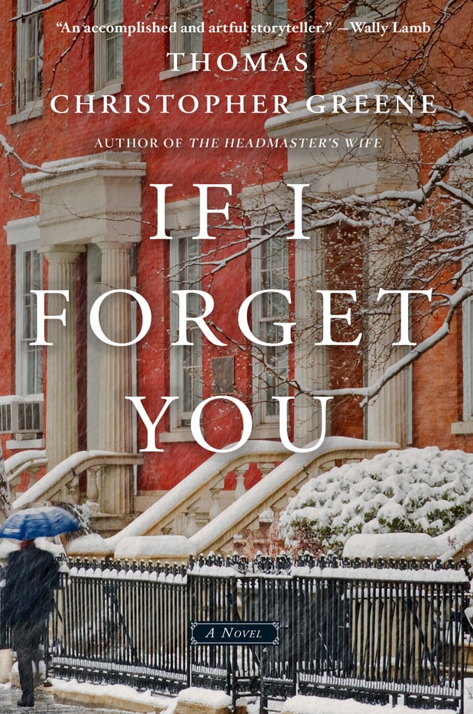If I Forget You by Thomas Christopher Greene