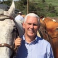 The Internet Was Very Confused by Mike Pence's Tweet About Horses