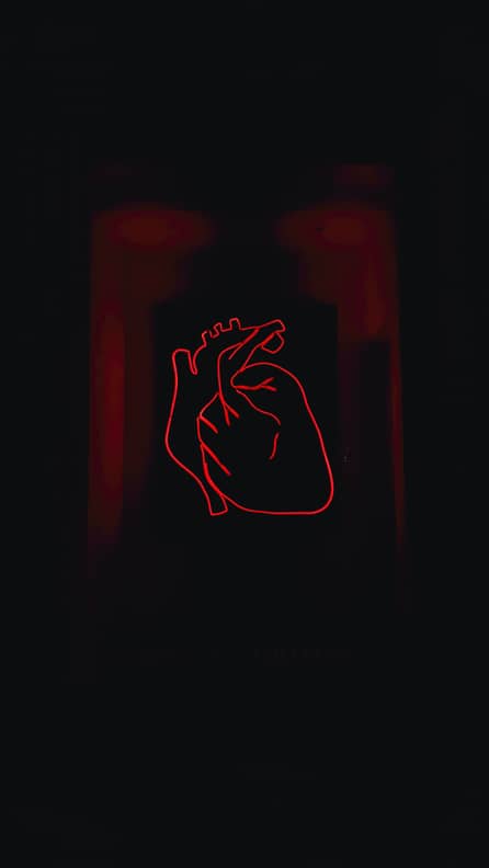 Valentine s Day Wallpapers For Your Home Screen Aesthetic