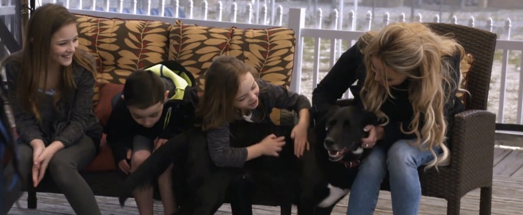 Pit Bulls and Parolees New Season Video 2016
