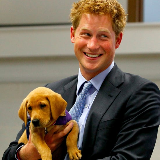 Prince Harry Being Romantic